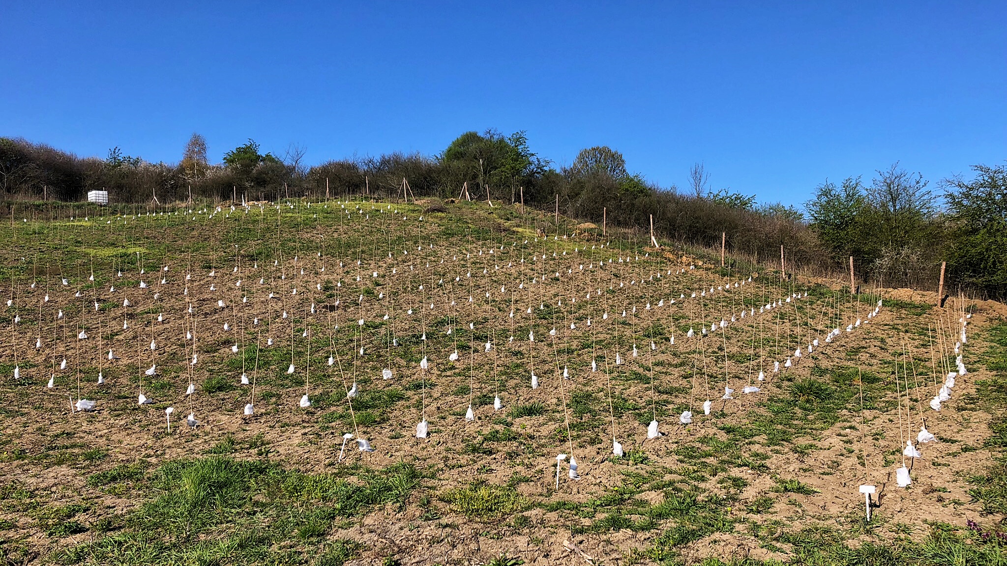 00AB0498 01D9-4D8E-B2ED-F42840DAD704_1_201_a.jpeg