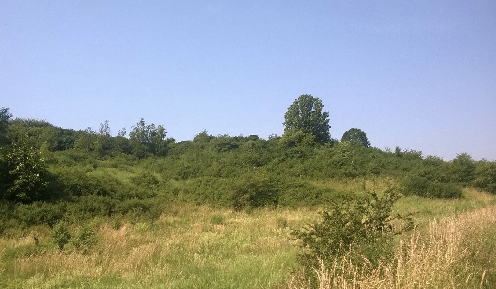 0D161678 FF5E-4A36-B726-322FD5A56264_1_201_a.jpeg