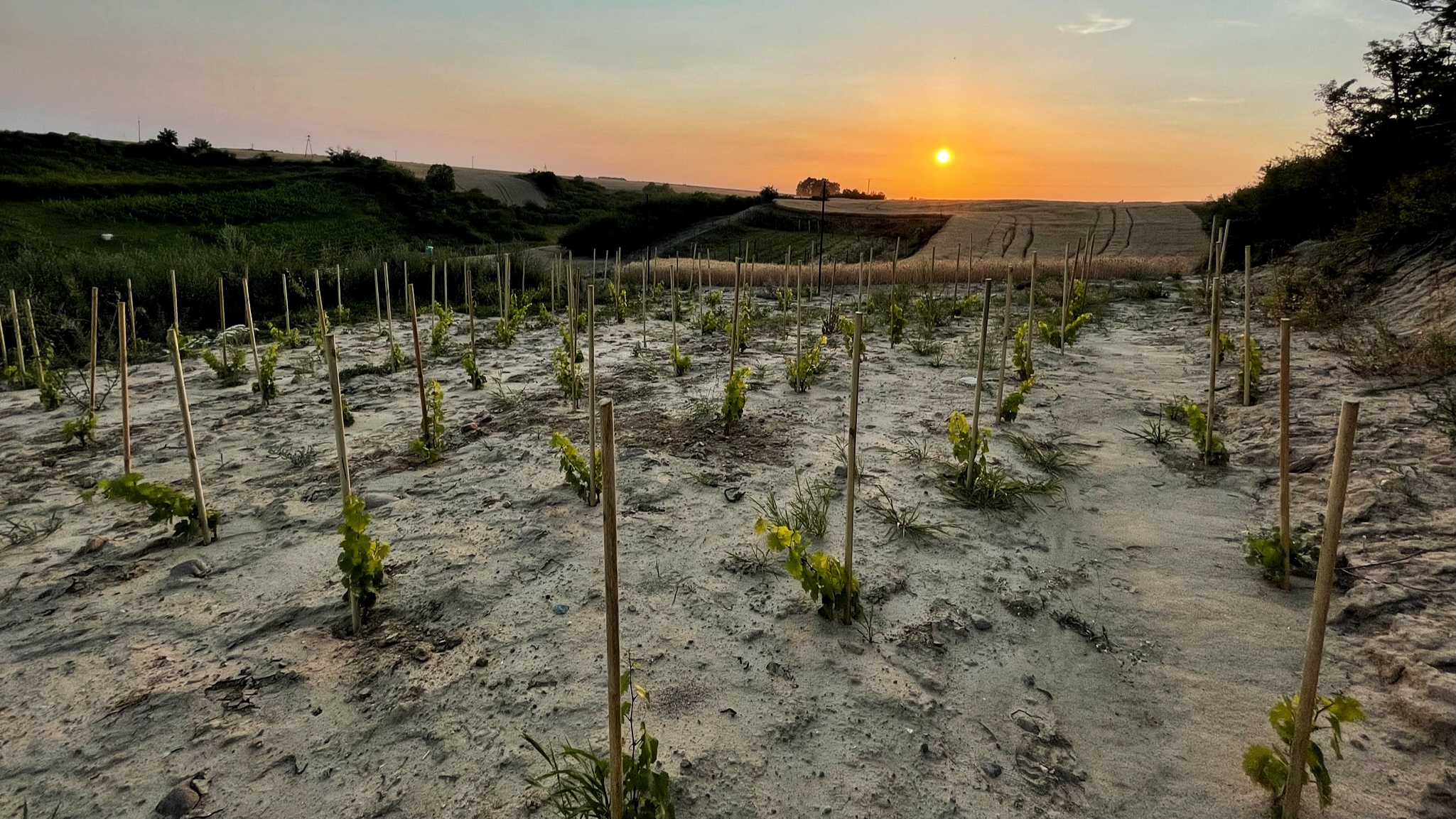 593BBFA4 00BC-4383-87F6-F4A4B9B04664_1_201_a.jpeg