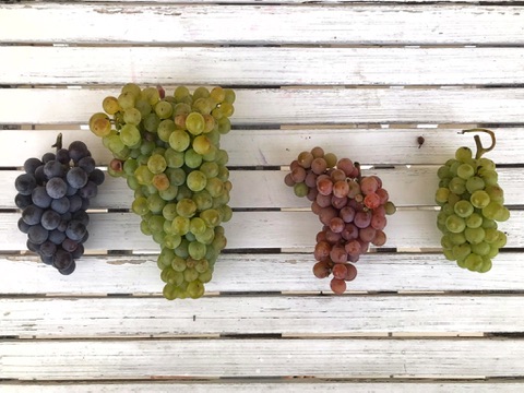 placeholder image sq