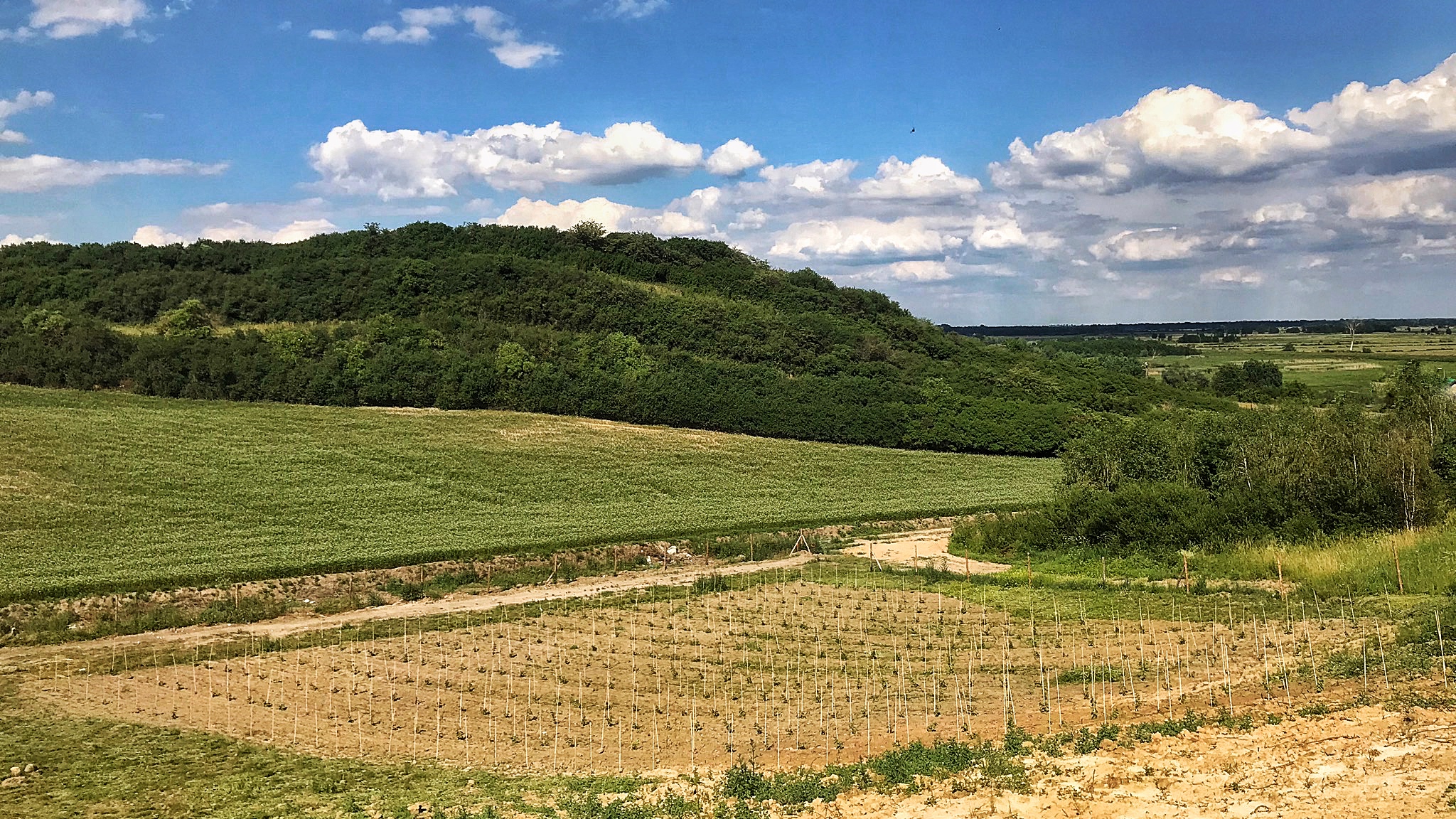 593BBFA4 00BC-4383-87F6-F4A4B9B04664_1_201_a.jpeg