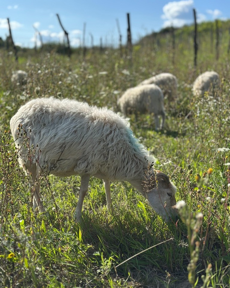 placeholder image sq