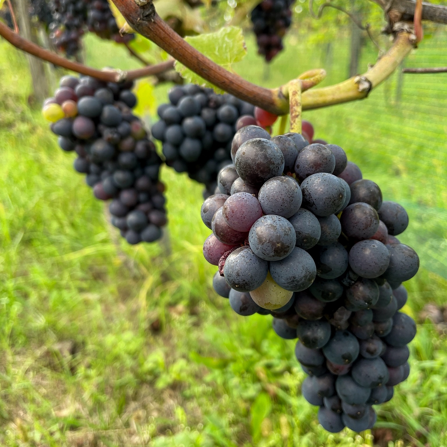 placeholder image sq