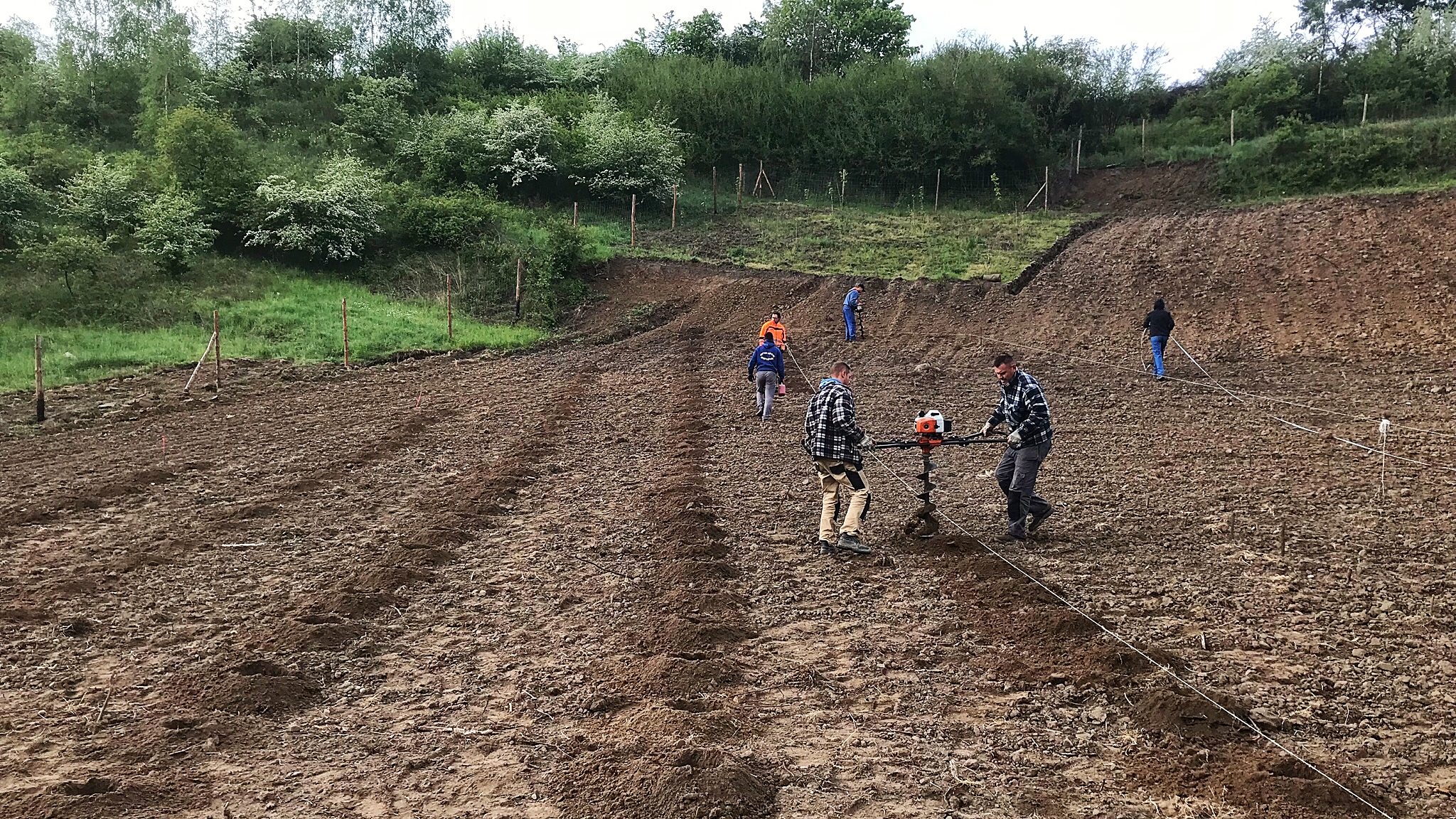 4431075D CB34-4907-8FA5-7025AFF538C7_1_201_a.jpeg