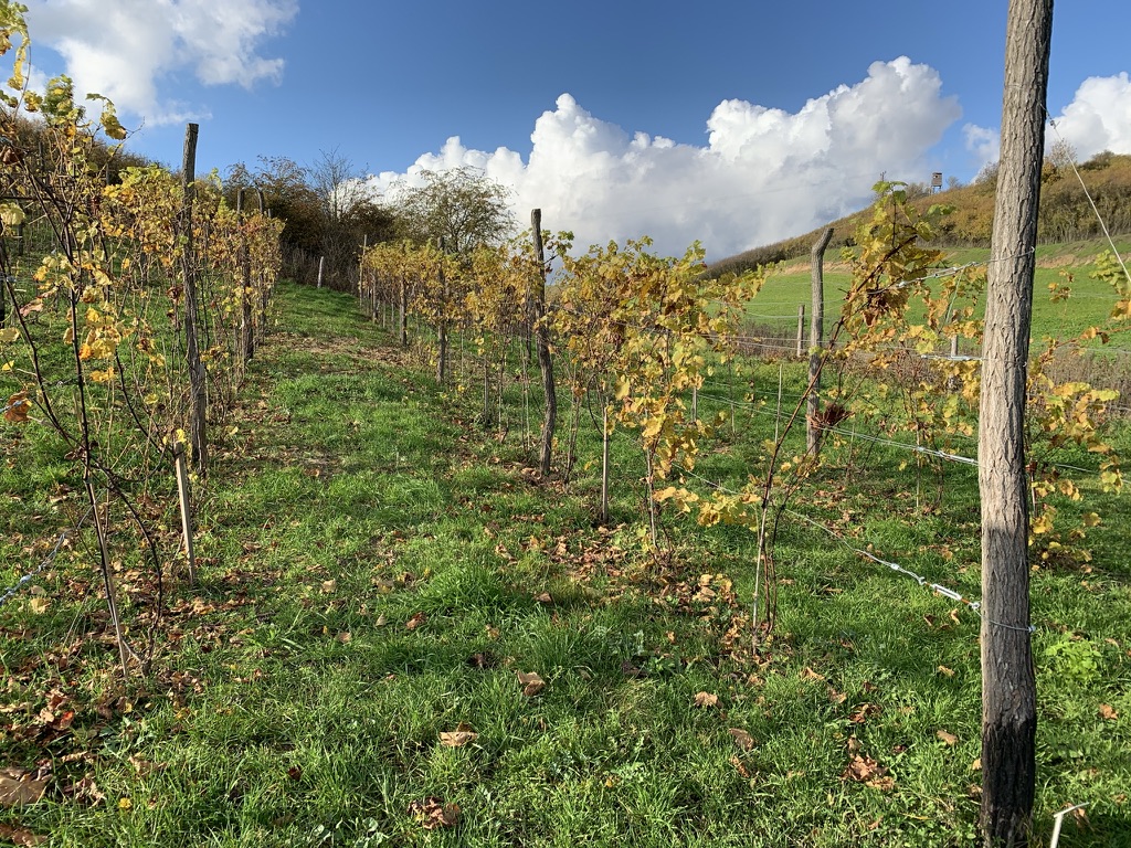 placeholder image sq