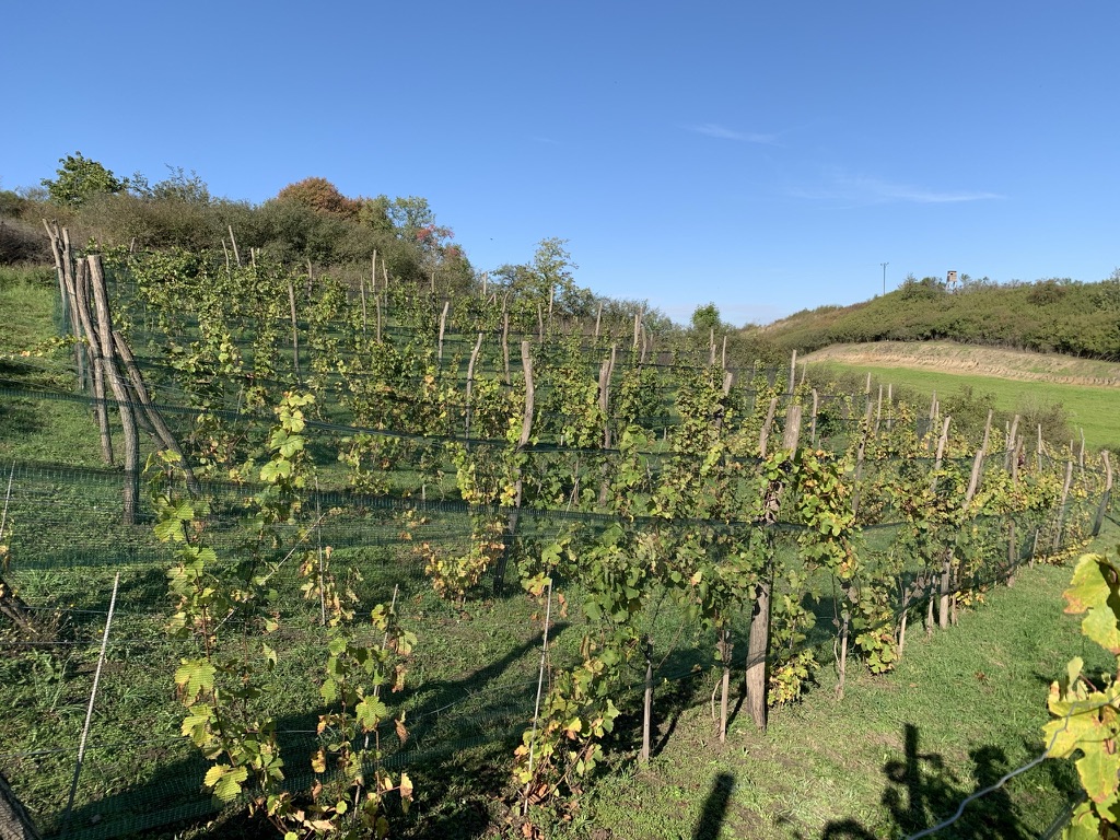 placeholder image sq