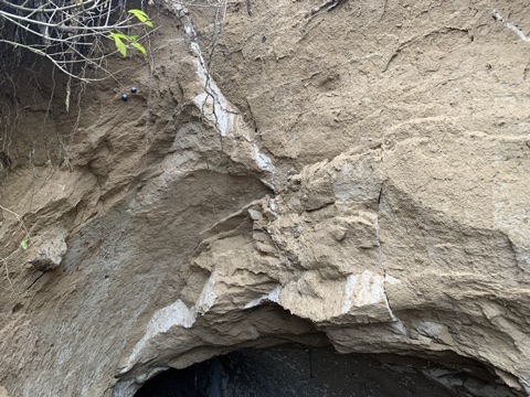 placeholder image sq