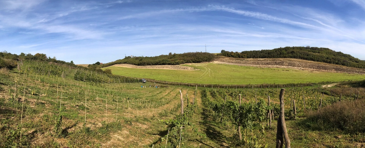 9CFC18EC FCA8-4AFC-97C6-B710E7CE4553_1_105_c.jpeg