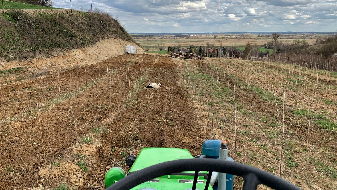 placeholder image sq