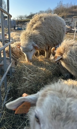 placeholder image sq