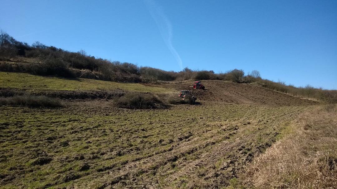 FDD45FAA 75FF-4D43-8972-62DDDB7C481A_1_105_c.jpeg